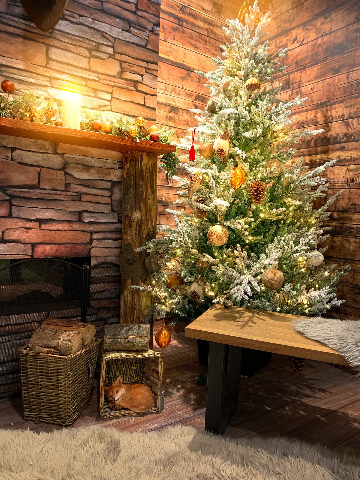 Why Do We Cut Down Trees and Drag Them Inside Every Year? by Grant Piper Medium