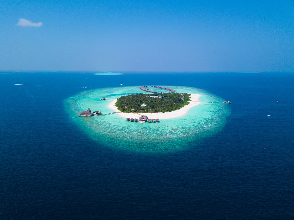 The Dynamic Island and Live Activities | Better Programming