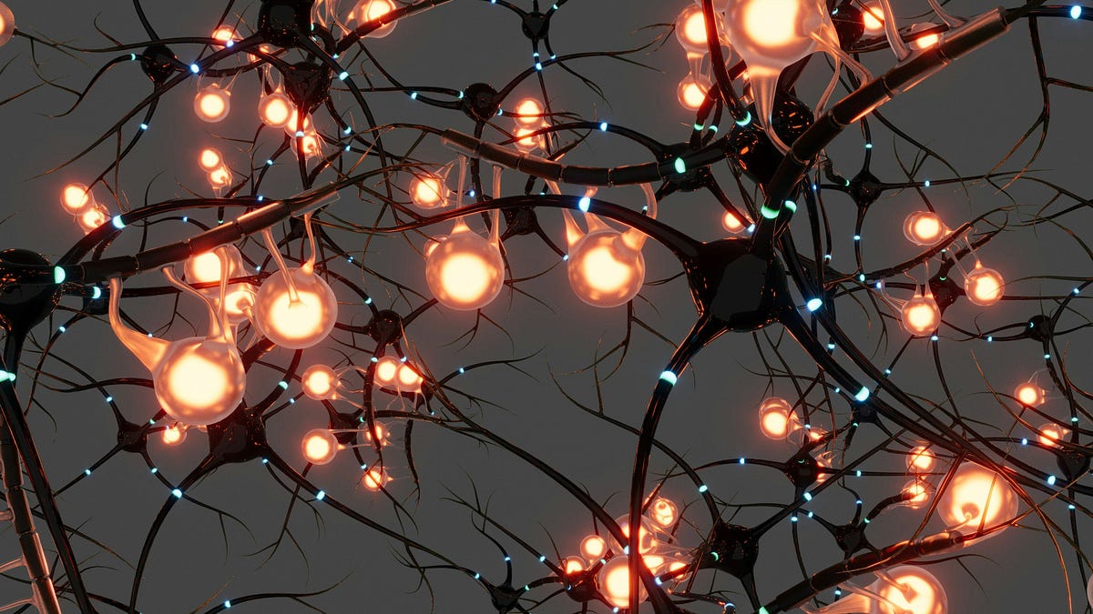 Tensor Calculus and Machine Learning: A Deep Dive | by Rajat Sharma ...