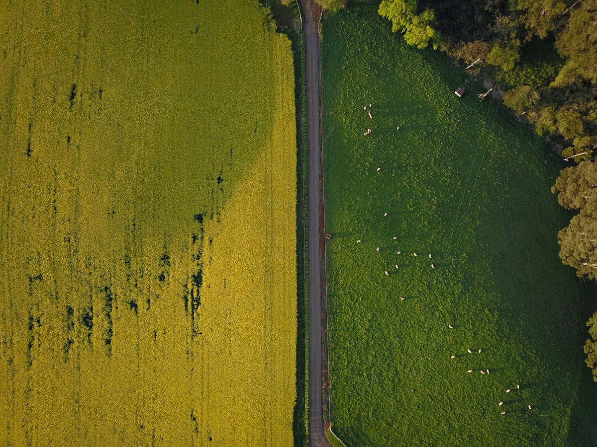 How to Split and Sample a Dataset in BigQuery Using SQL | by Romain ... image.