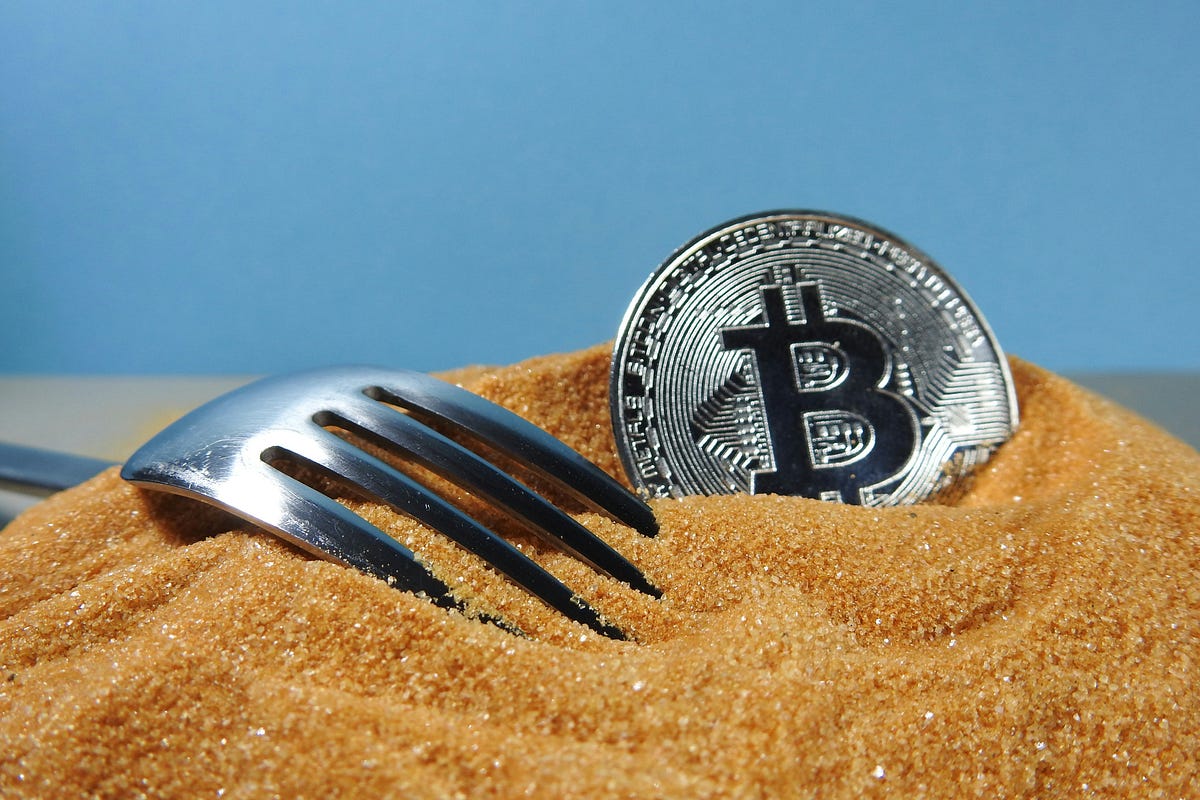 Bitcoin Forks: Navigating the Future of Digital Currency 🌍💸 | by Solidity Academy | The Capital | Nov, 2024