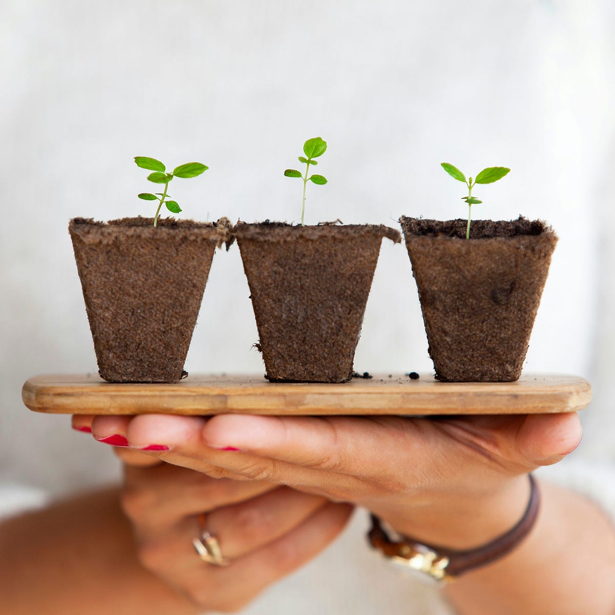 How Small Daily Habits Can Change Your Life
