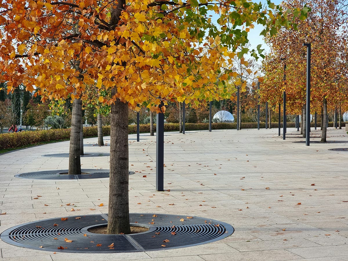 My Sunshine Thursday. Vol. 1 Issue 1 by Bombay The Diarist Oct