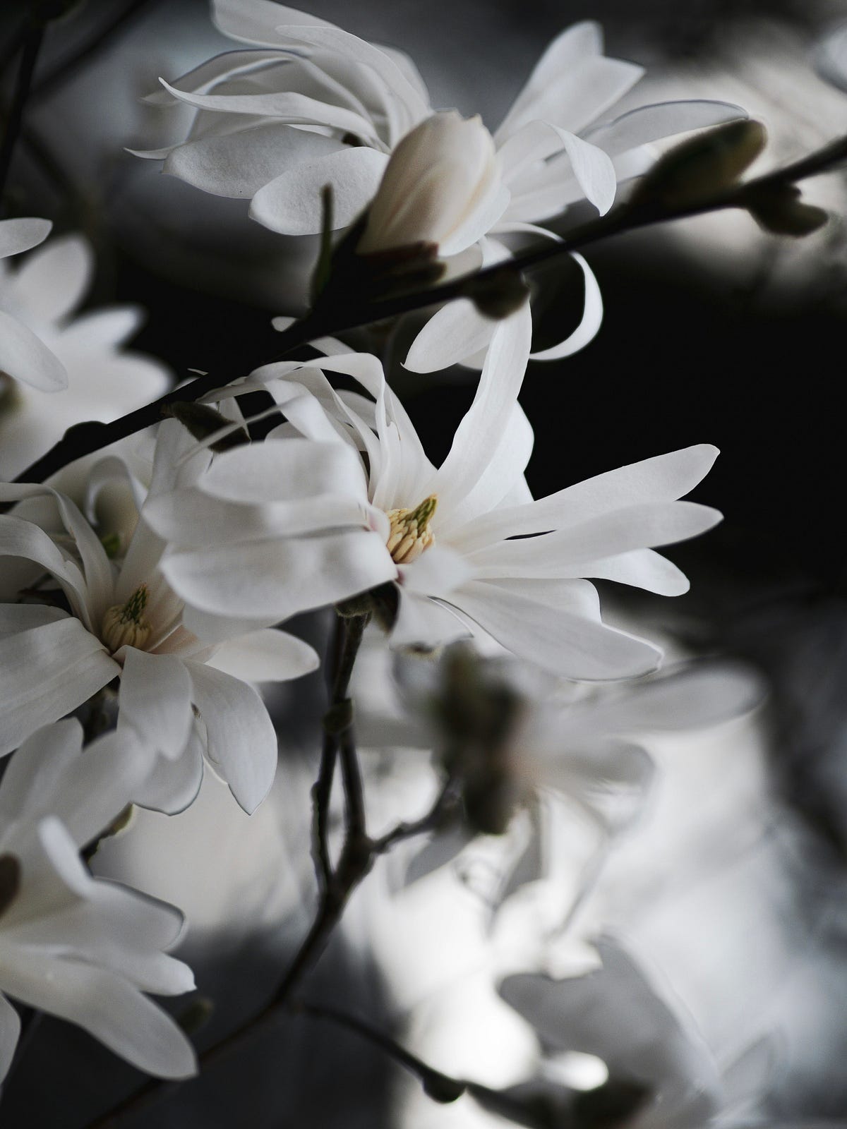 Past Lives And Present Thoughts: The Spiritual Link To Your Ex - q8uyshy