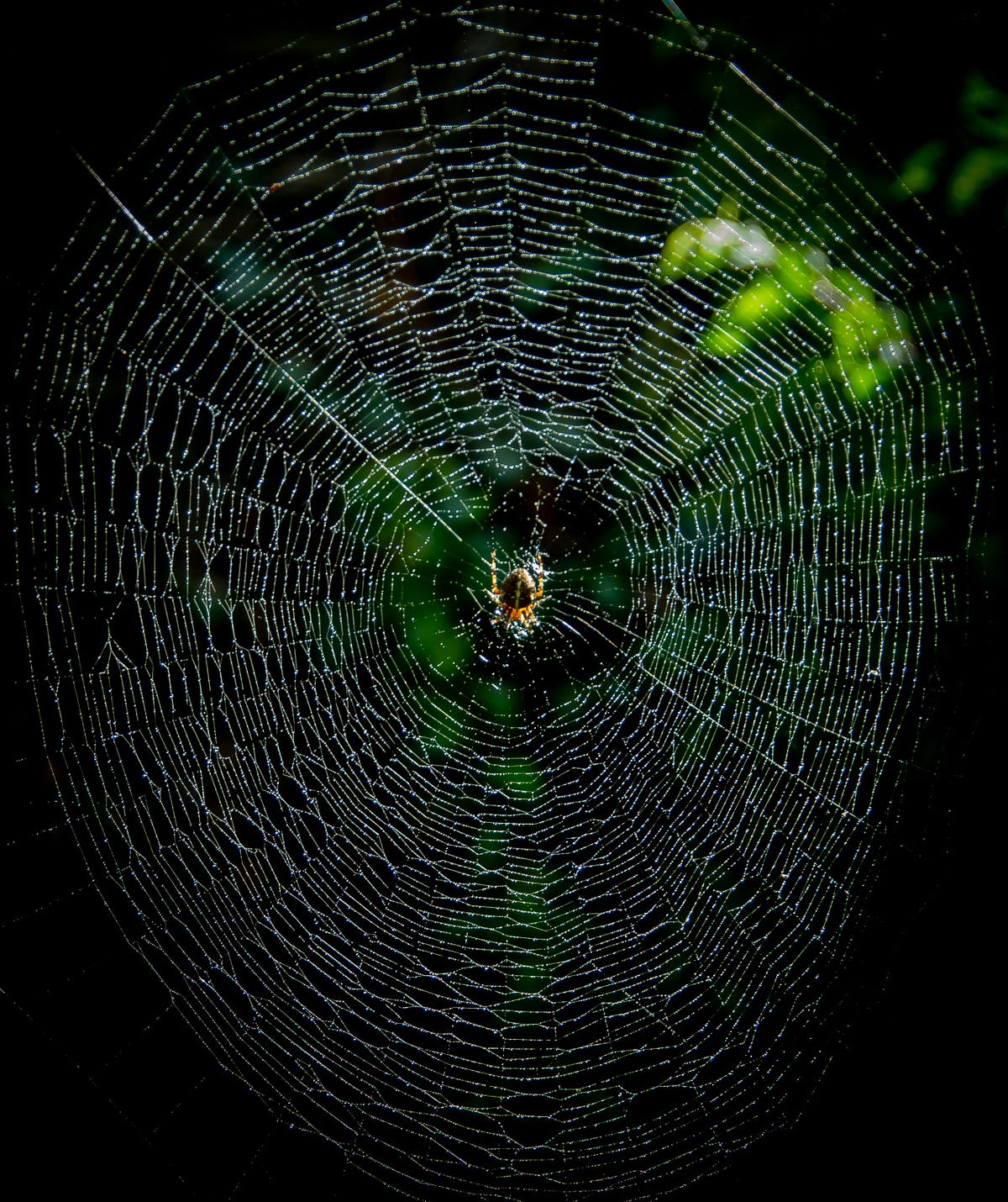 Automate Web Data Collection Effortlessly with AutoScraper in Python ...