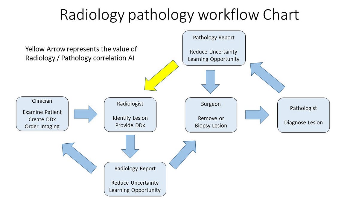 Radiology Pathology: Unveiling Diagnostic Insights | by Eronitacosta ...
