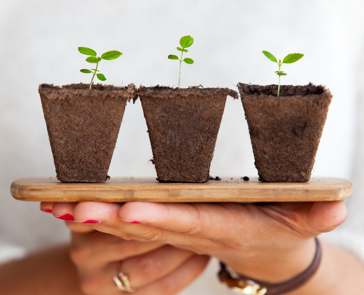 GenAI is Reshaping Data Science Teams | by Anna Via | Nov, 2024