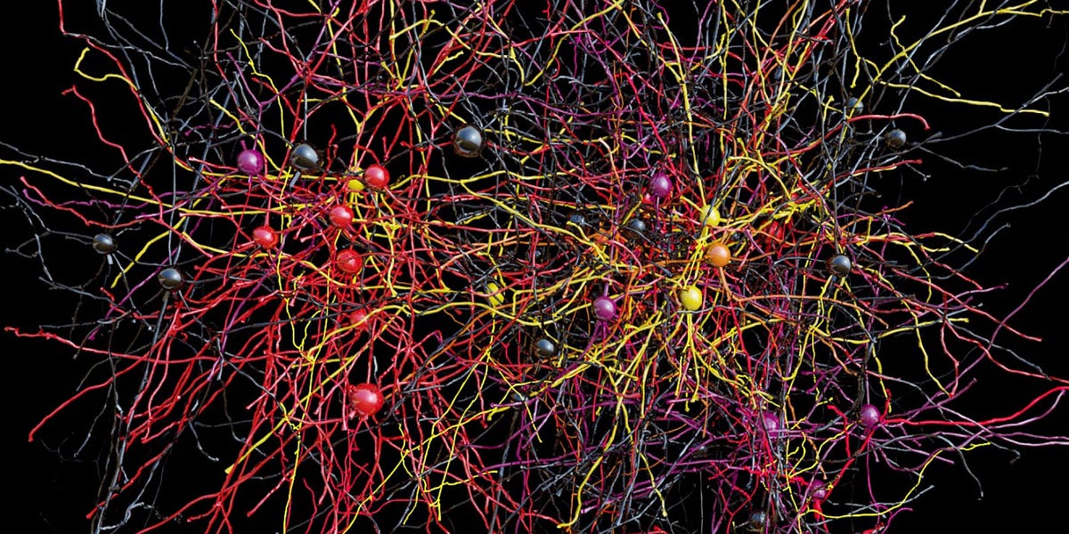 Connectomics and Virtual Reality: Unlocking the Secrets of the Brain ...