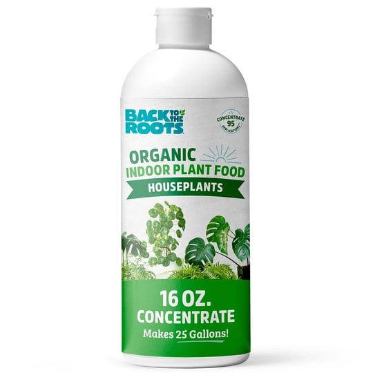 Indoor Plant Foods by Heather Ford DDS Jun, 2024 Medium