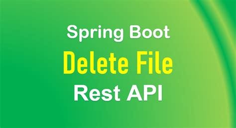 Spring Boot DELETE Request: 204 No Content, but Data Remains? | by Lena ...