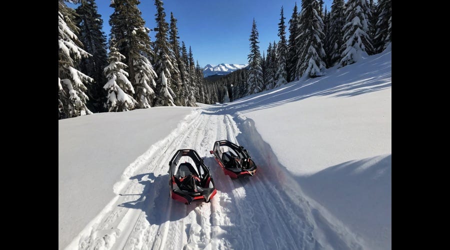 MSR Tyker Snowshoes by Enrique Martinez Mar, 2024 Medium