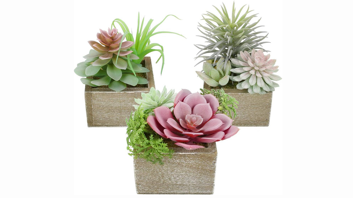 Best Fake Plants For Desk — Buying Guide by Artificial Decor Apr