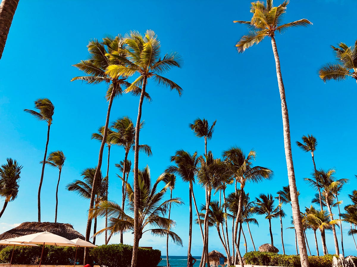 Why Is Punta Gorda a Good Destination for Yacht Care and Maintenance