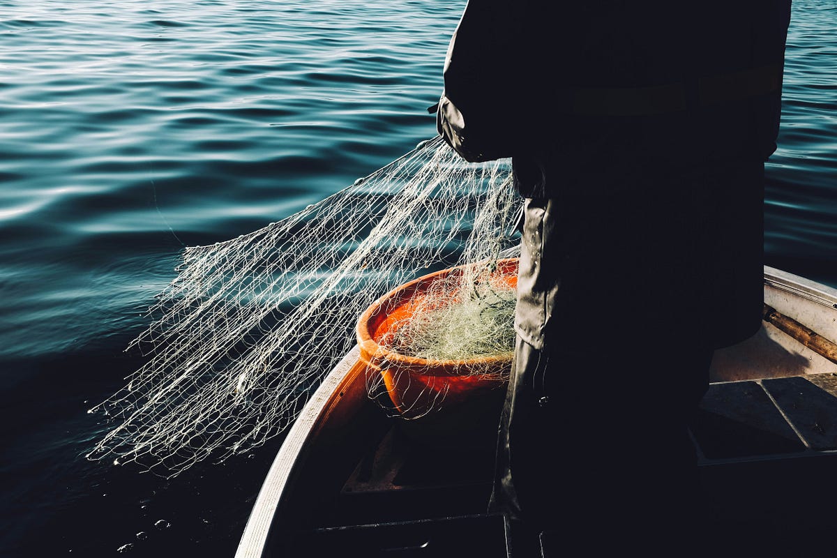 no more fish - lindercote - Medium