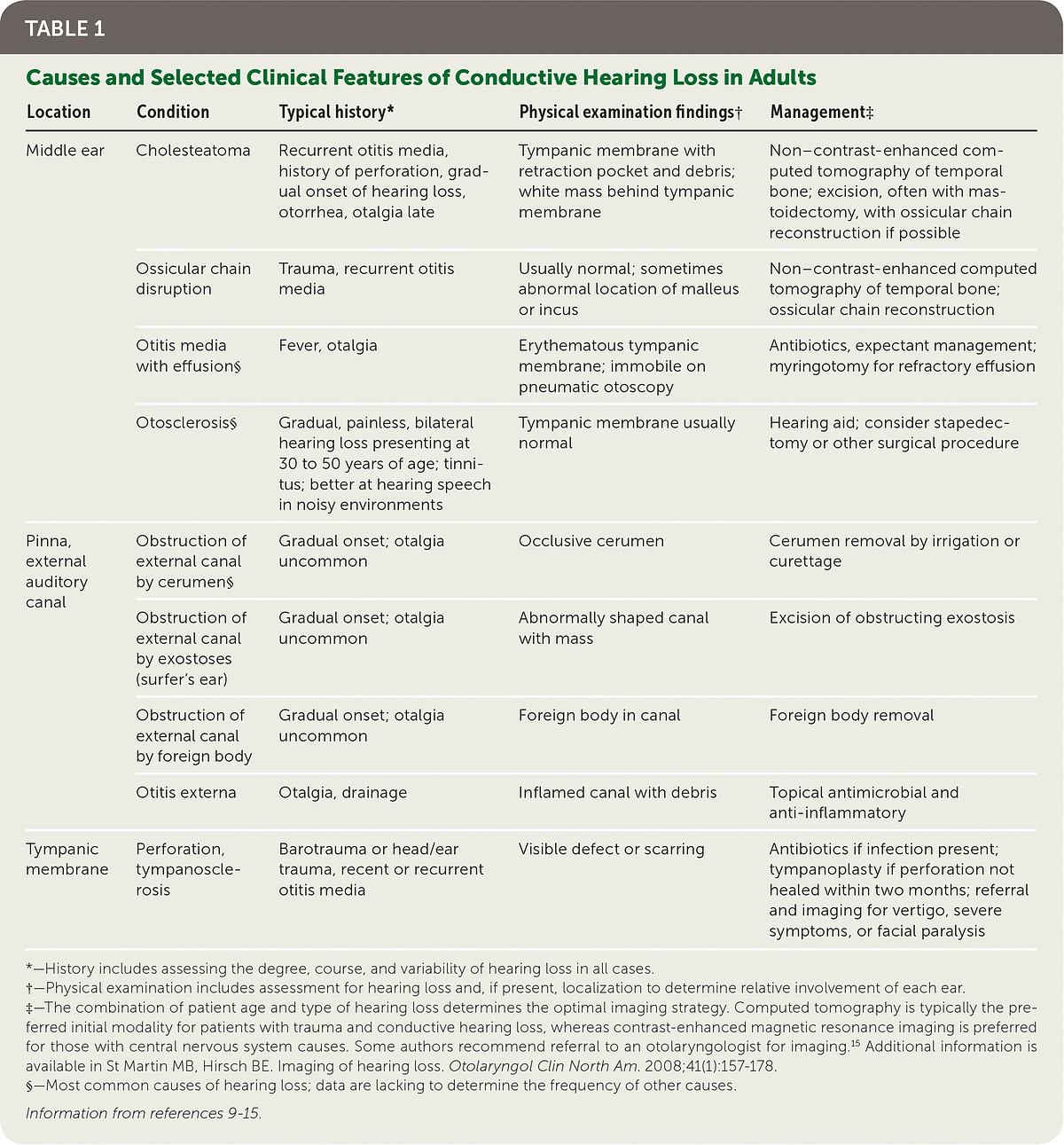 Noise Induced Hearing Loss is Typically Caused by Quizlet Key Insights by Ahnafkhan Aug