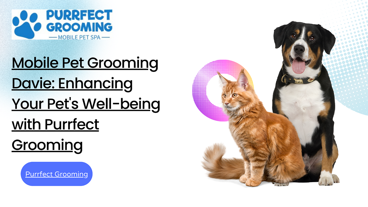 Mobile Pet Grooming Davie Enhancing Your Pet’s Wellbeing with