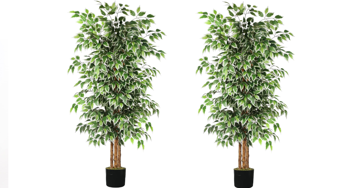 Best Fake Tree for Bedroom — Buyer’s Guide by Enthusiastic Appraisals