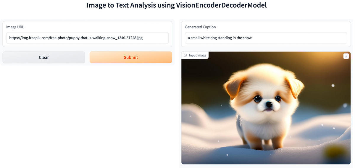 Image to Text Analysis using Vision Encoder Decoder Model | by ...