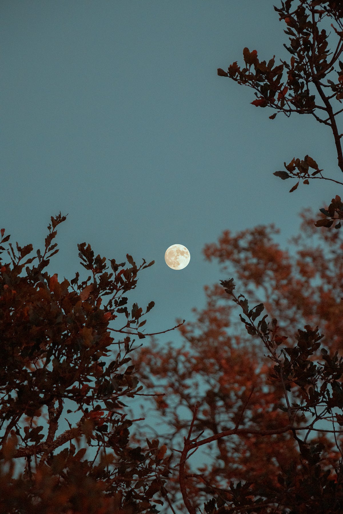 Why You’re Feeling Tired After a Full Moon: Spiritual and Scientific ...