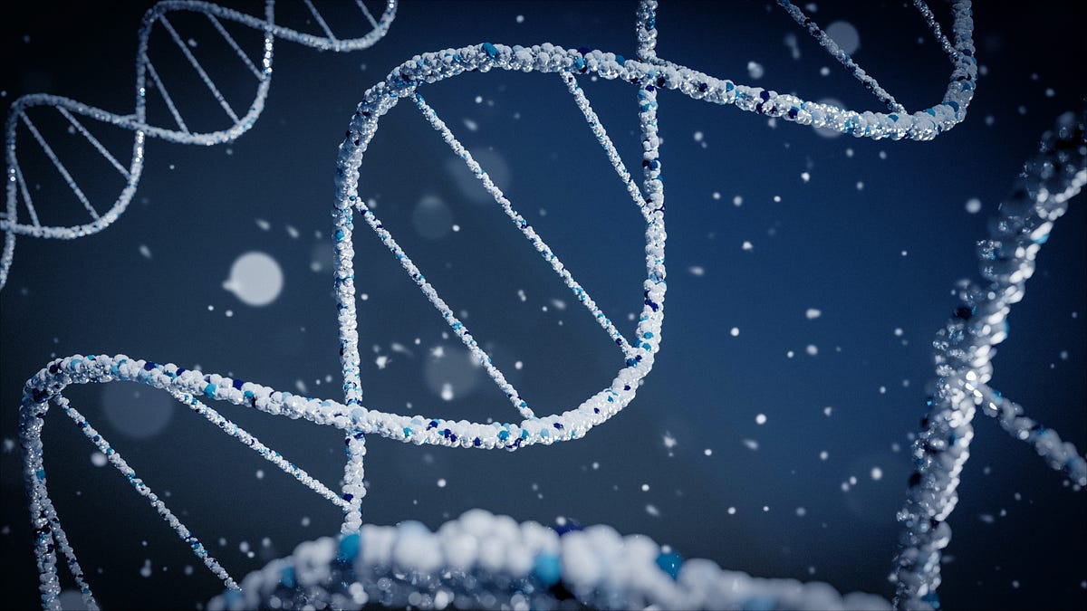 Notable Figures within the Anti-Aging Field | by Avinash Saravanan （アビナッシュ・サラバナン） | Dec, 2023 - Medi