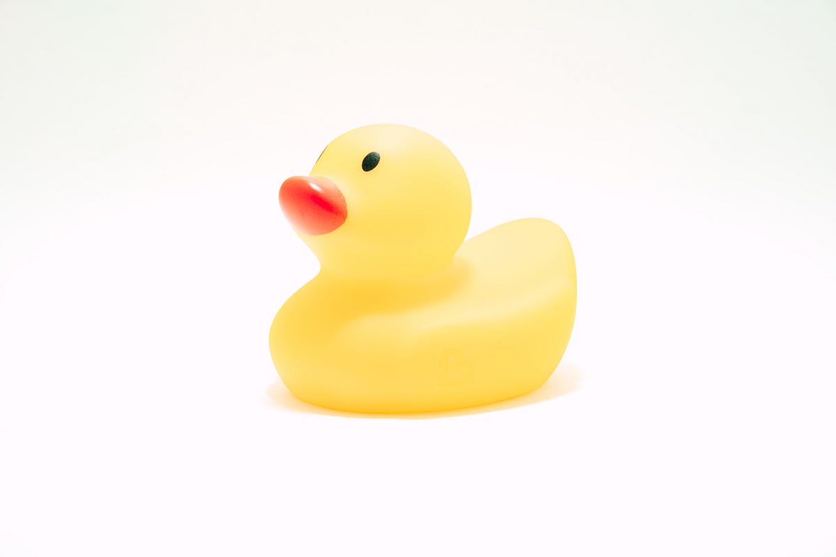 Why Not Zilch?. “How could a rubber duck possibly cost…