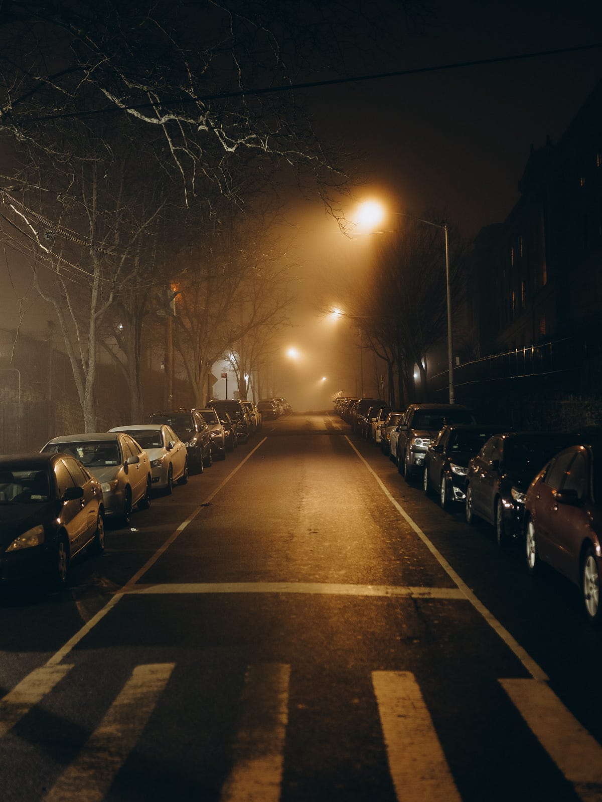 Bin Night. Photo by Elias Vidal on Unsplash by Graham Lilley Read