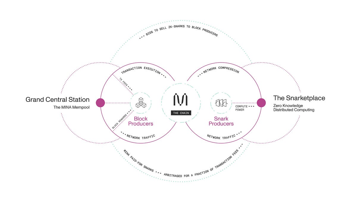 Crypto Deep Dive: Understanding Mina Protocol The Succinct & Secure  Blockchain Project | by @pramodchandrayan | CryptoWise | Medium