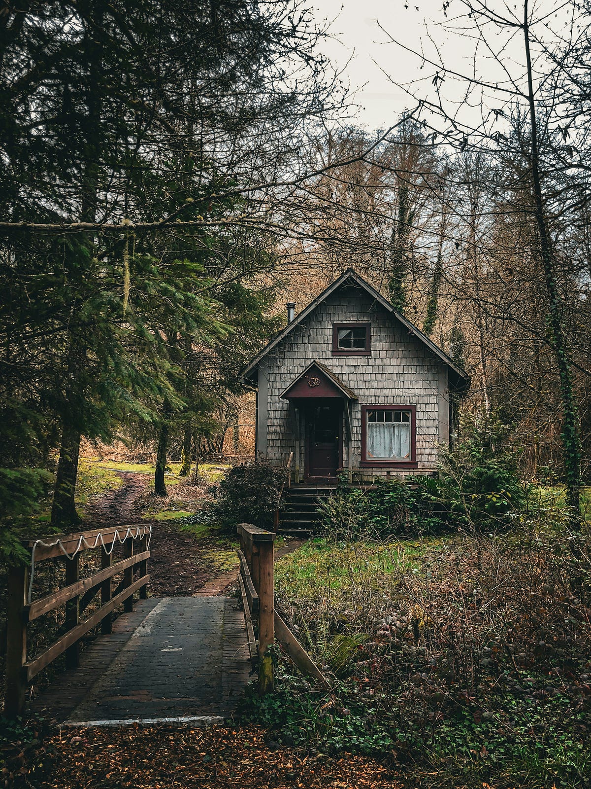 The Road Less Traveled. Choosing the conventional path may seem… | by ...