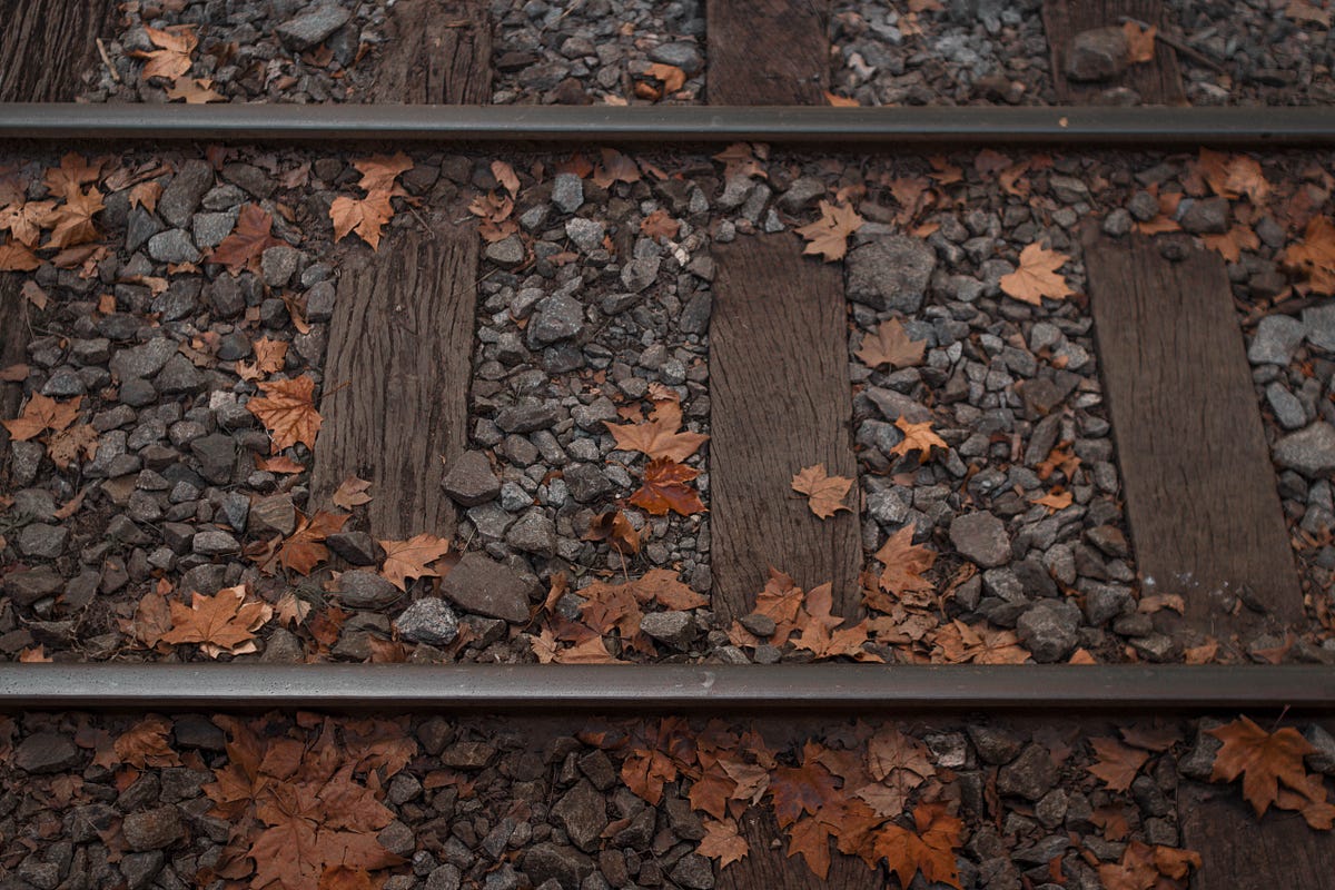 Practical Algorithms: Binary Search variations, in Python | Level Up Coding
