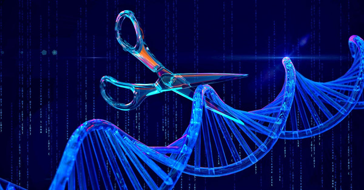 Prime Editing: The Bold and Innovative Gene Editing Technology ...
