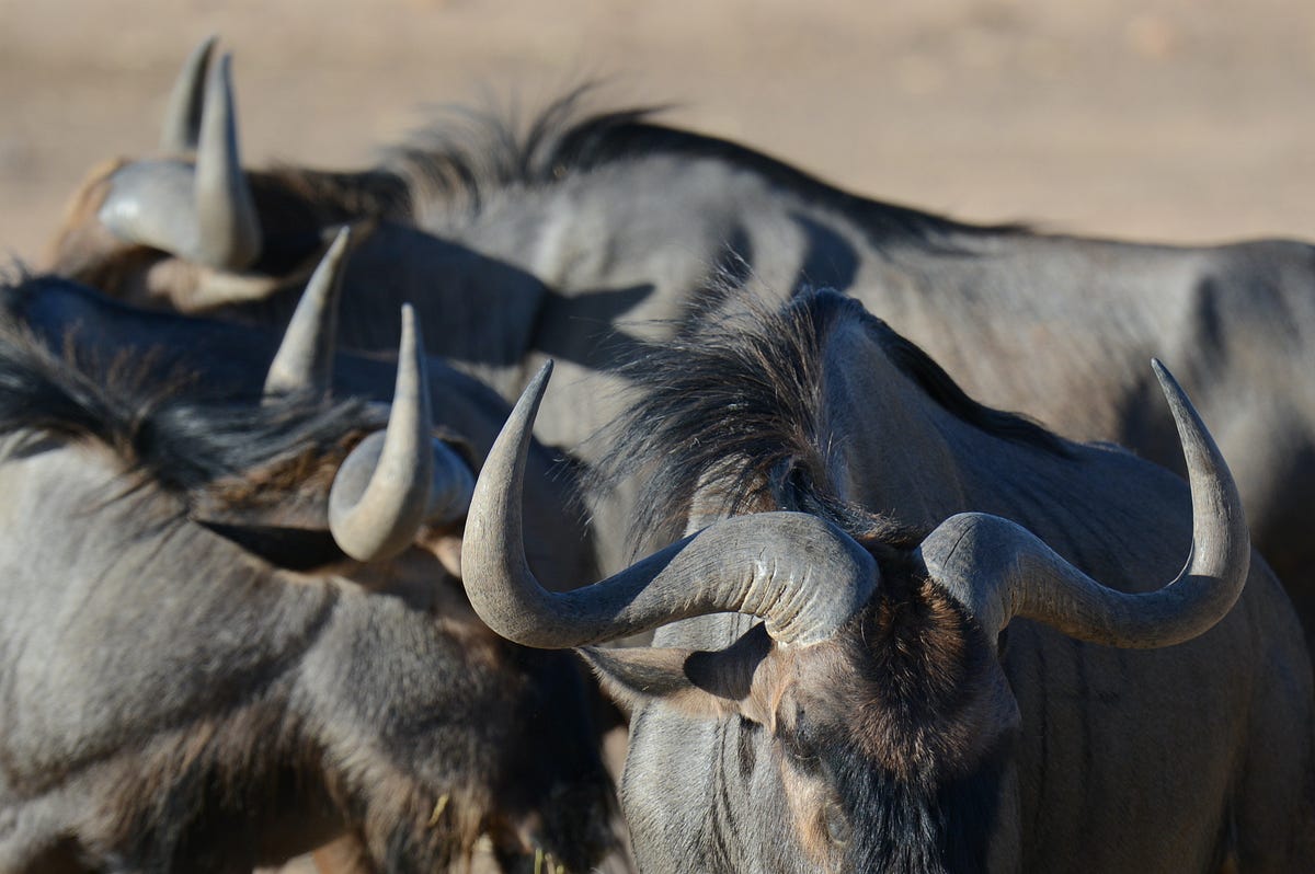 GNU/Hurd strikes back. How to use the legendary OS in a… by Masayuki