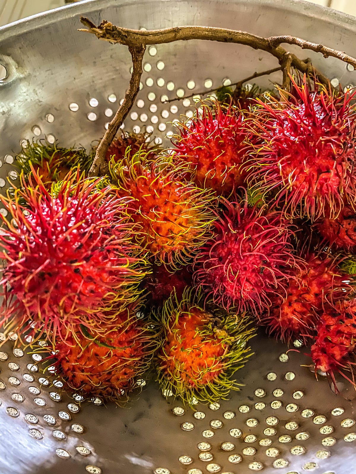 5 Healthy and Tasty Rambutan Recipes on the Web to Try at Home | by ...