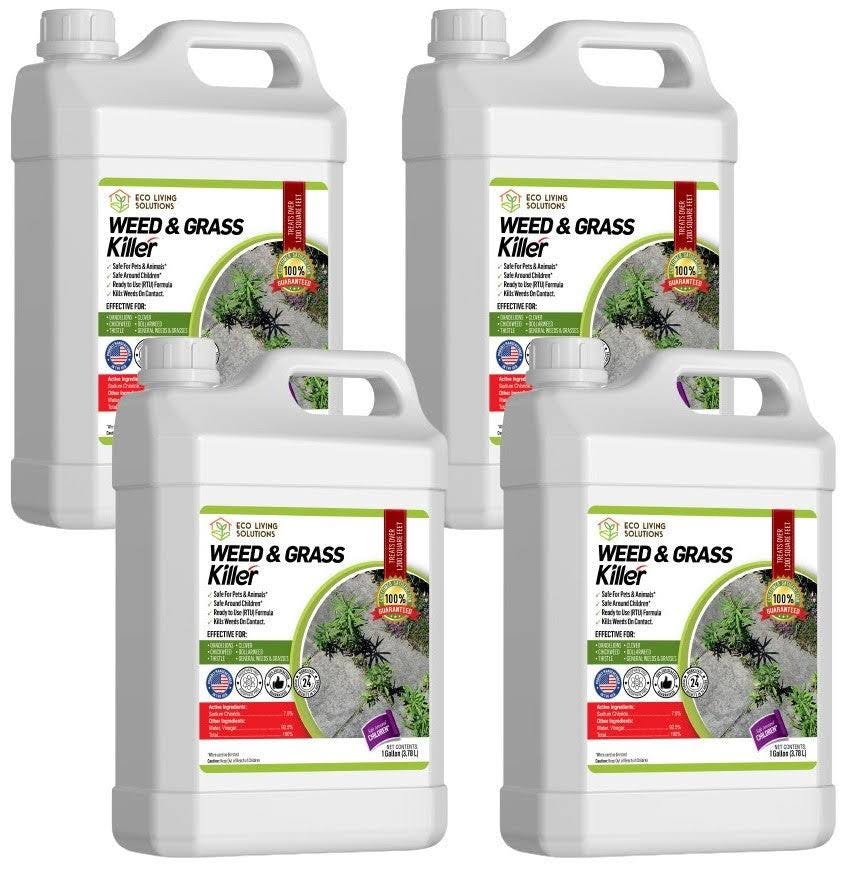 Best Pet Safe Weed Killer by Dorothy Perry Medium