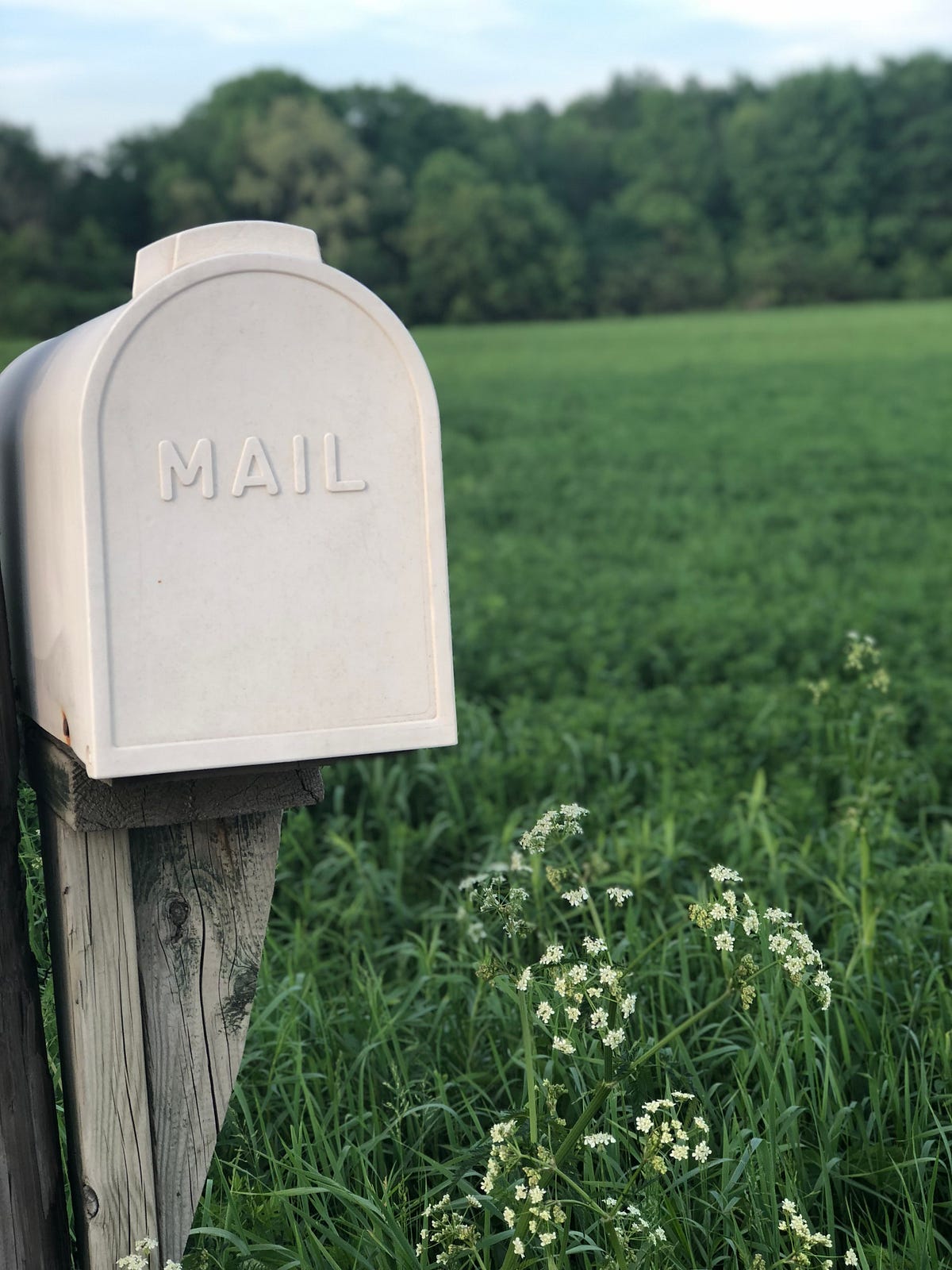 What Graymail is and How To Manage it in HubSpot | by Poppy’s Tech Aid ...