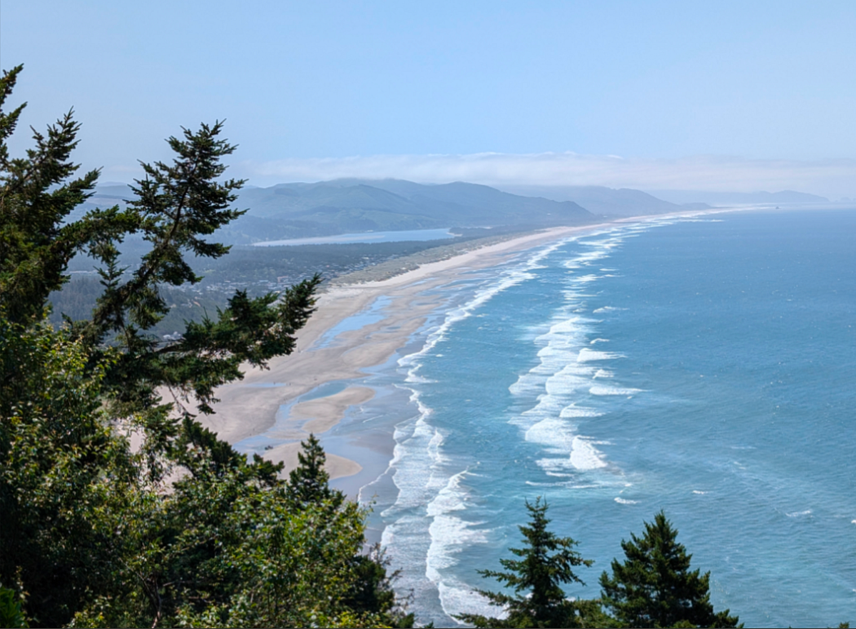 Typing your legal problems into AI? Bad idea. It's not ... - Facebook - Not A Real Call