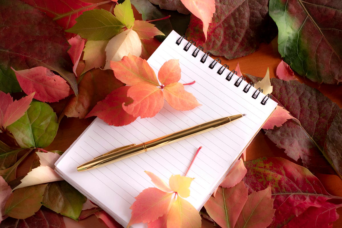 One Killer Trait Necessary to Become an Author | by Archana | Introvert ...