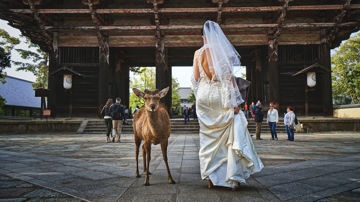 12+ Wedding Dress With Hat