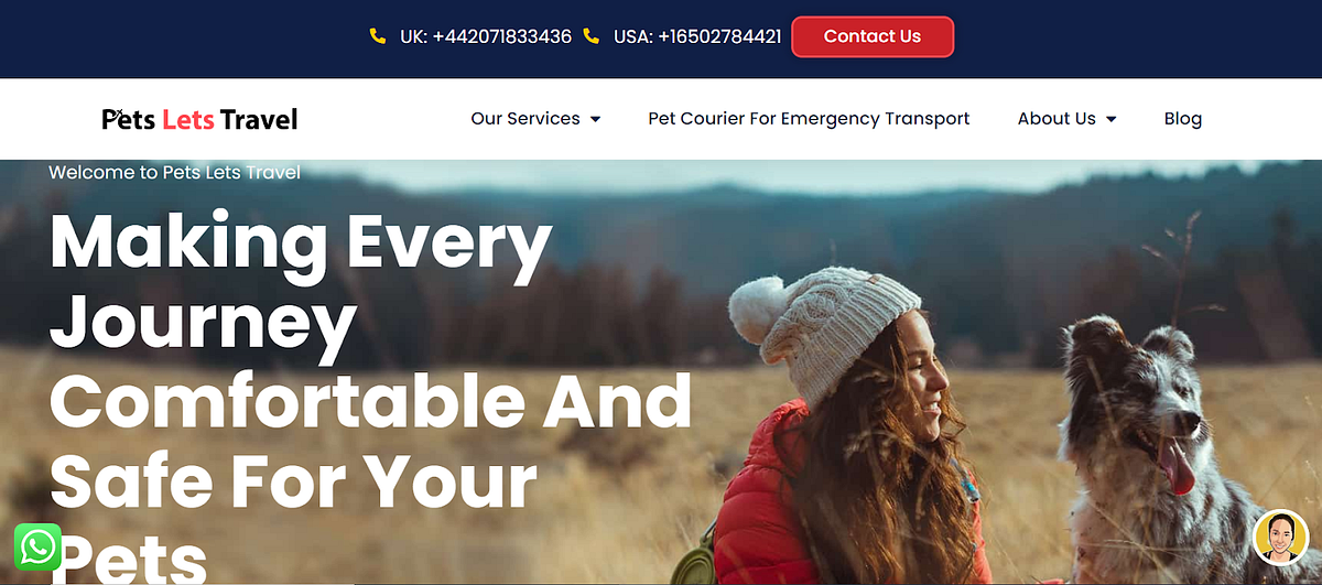 Top 10 pet transport companies in the UK 2024 by Mohammad Haseeb