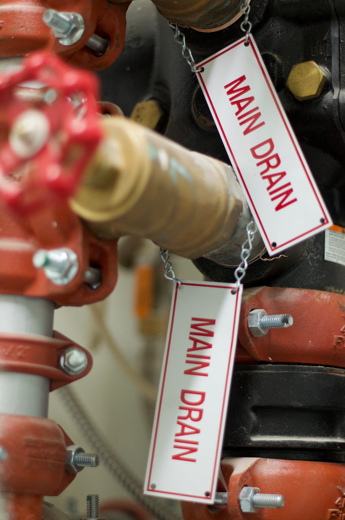 Drain the Alcohol Pond in Your Brain by Sarah Sandidge AINYF