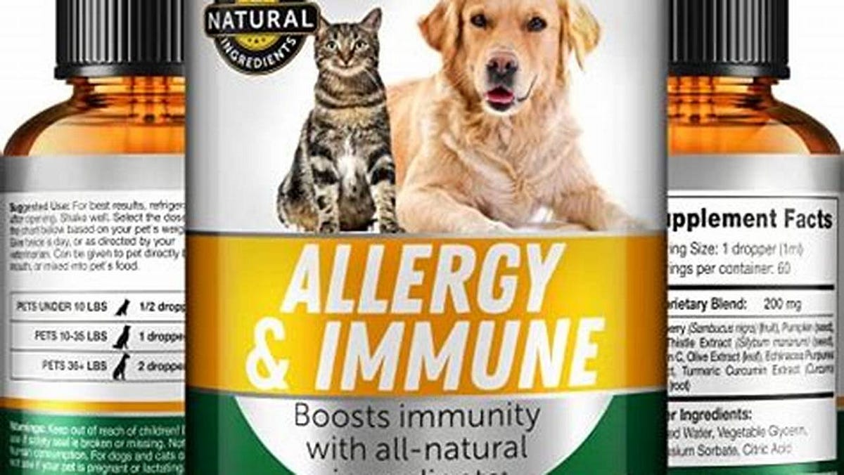 Unleash the Power of Allergy Relief Discover the Best Allergy Medicine Cats by Rambo Apr