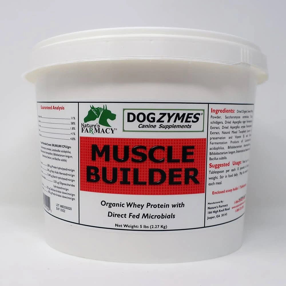 Dog Weight Gainers by Patrick Bell Sep, 2024 Medium