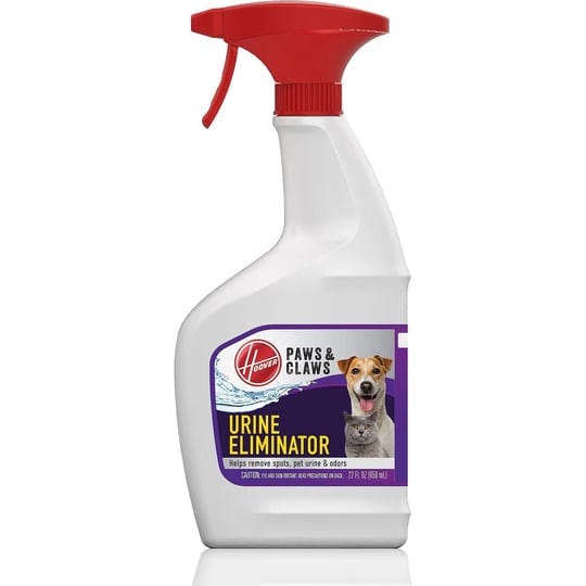 Pet Stain Removers by Deborah Henry Jun, 2024 Medium