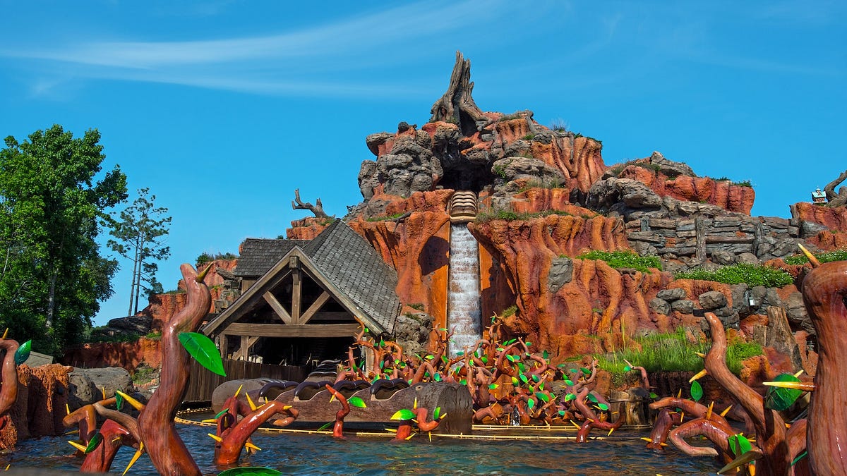 Disney splash mountain sale