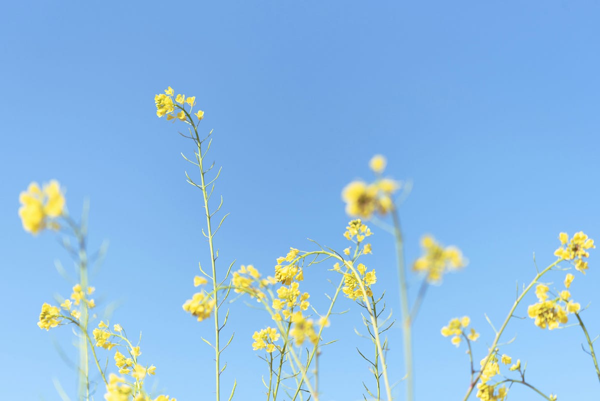 Are you liking someone quietly? by Nanon Sep, 2024 Medium