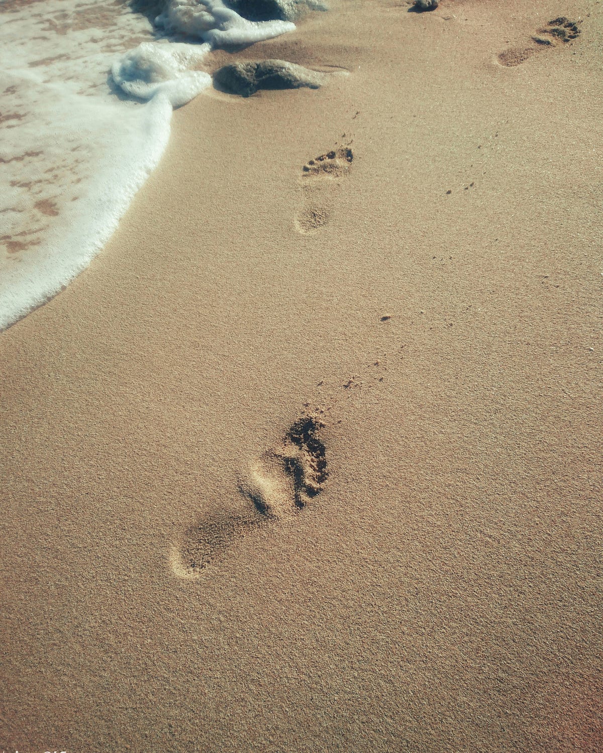 Footprints in the Sand The Lark Publication Medium