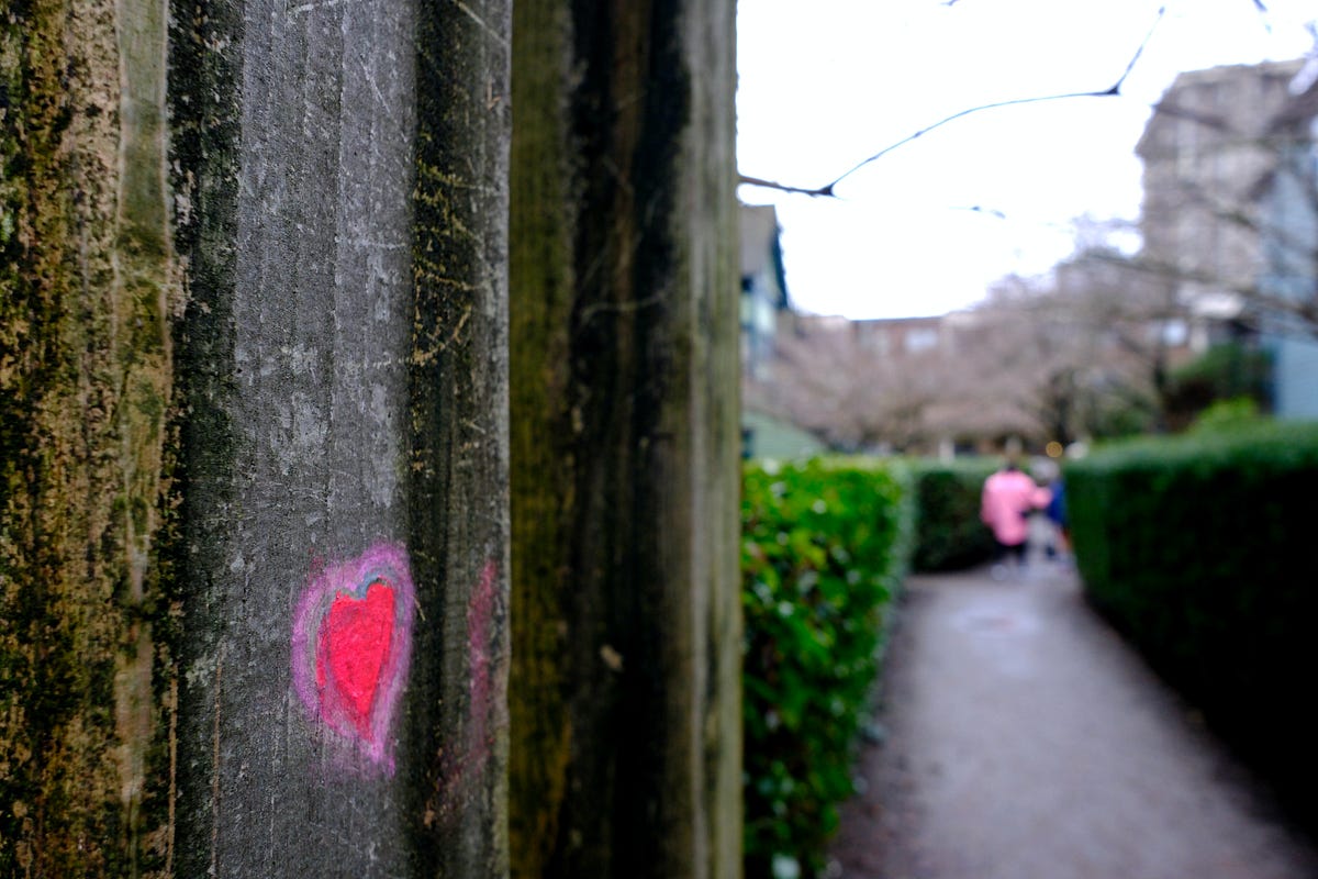 Profound Love - Willow Reed - Medium