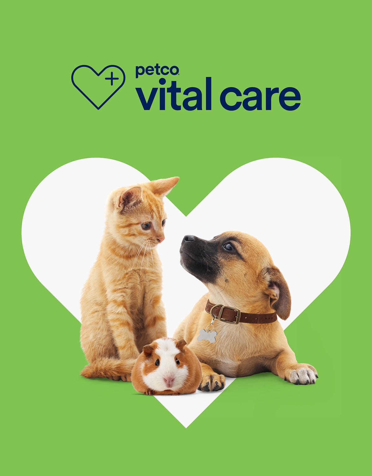 The Unexpected Benefits Of Owning A Petco Credit Card - 9797i70