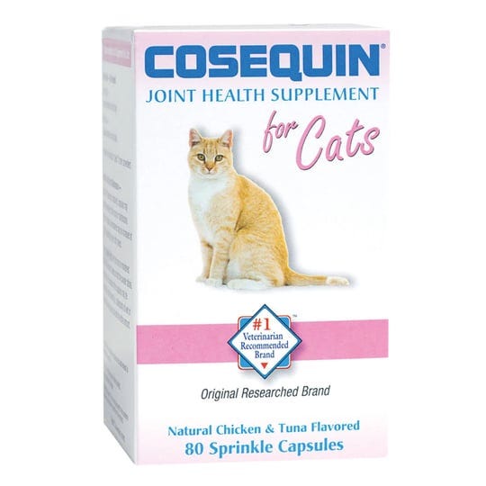 Glucosamine For Cats by Caroline Foster Jun, 2024 Medium