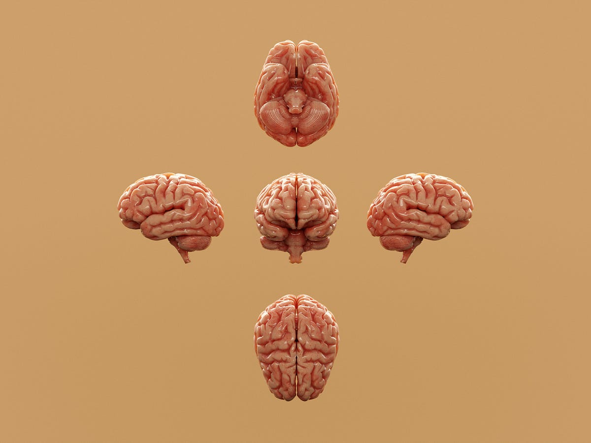 Synoptic Mind: Meaning, Benefits, Drawbacks | by Jitendra Rautela | Medium