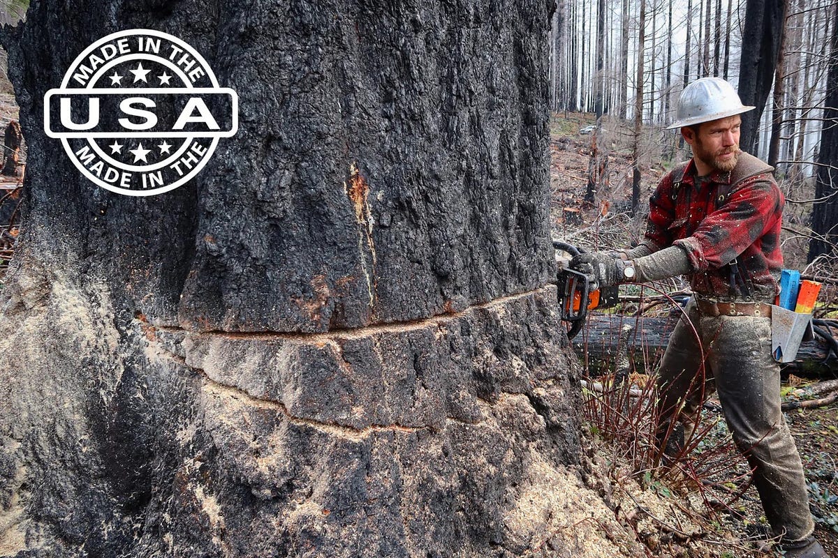 How does a chainsaw kill switch work? by Westcoast Saw Medium